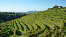 Asolo, paesaggio d’artisti