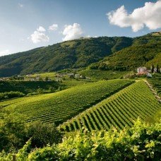 Una terra di seta e vigneti. Giornata sulle colline del prosecco »
