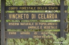 Vincheto di Celarda